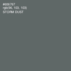 #606767 - Storm Dust Color Image